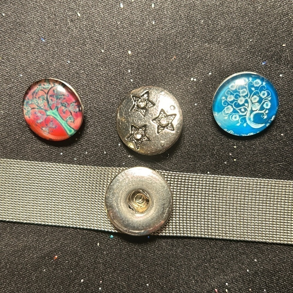 Ginger Snaps button charms & bracelet